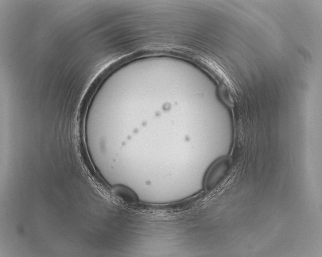 X0000116150976200912071300