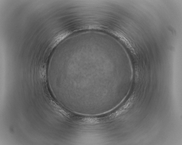 X0000116150977200912071300