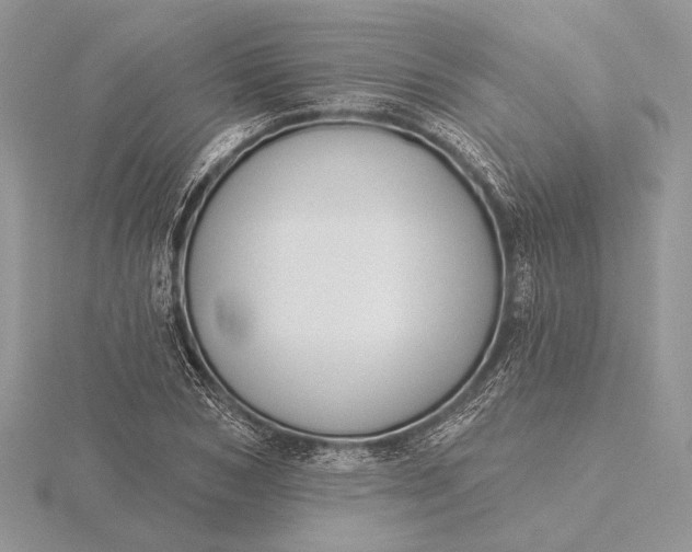 X0000116150978200912071300