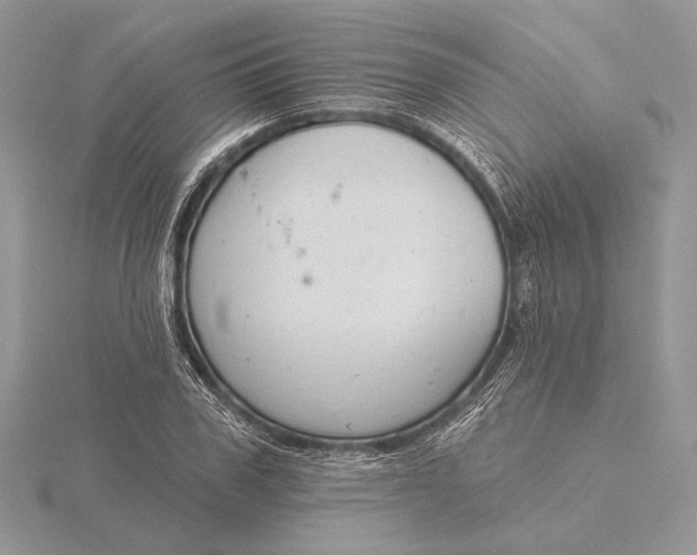 X0000116150979200912071300