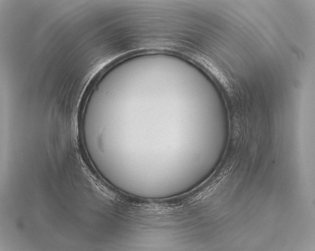 X0000116150980200912071300