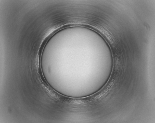 X0000116150982200912071300