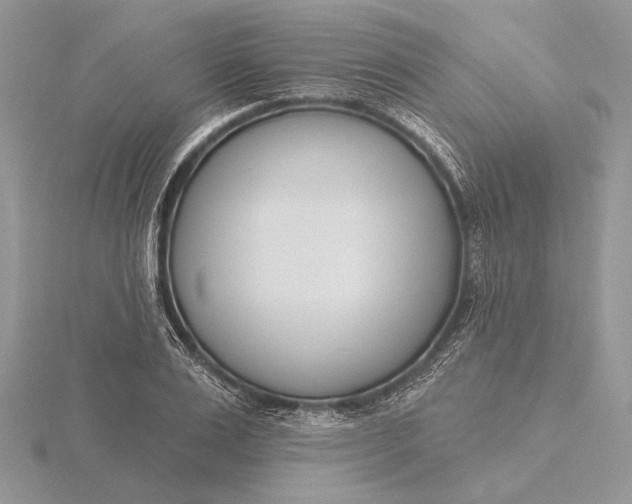 X0000116150983200912071300