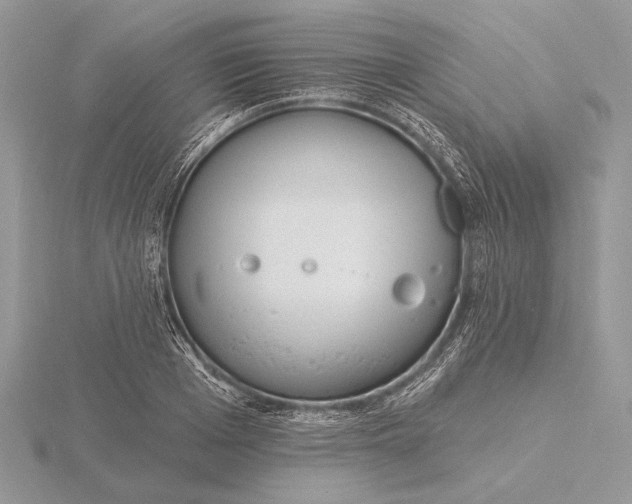 X0000116150985200912071300