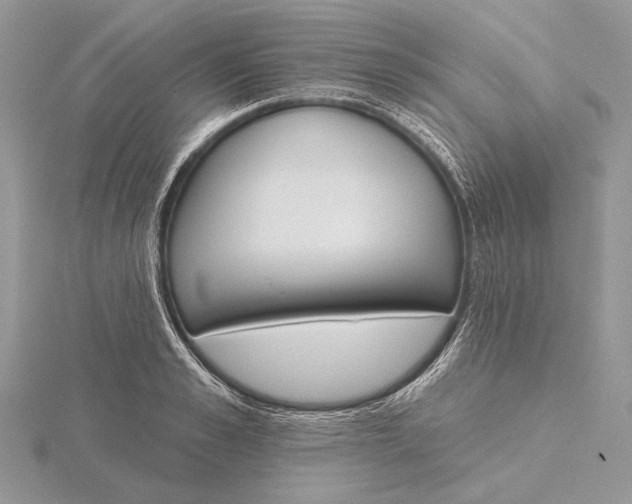 X0000116150989200912071300