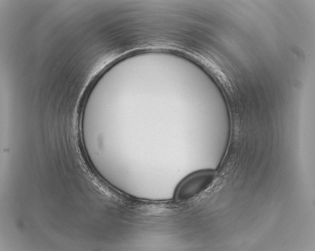 X0000116150990200912071300