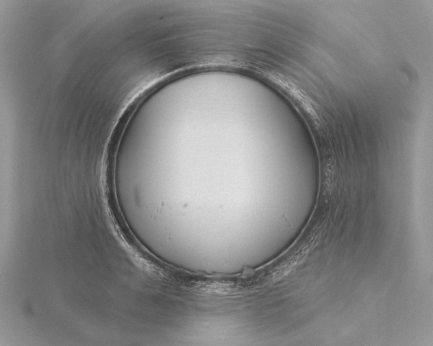 X0000116150991200912071300