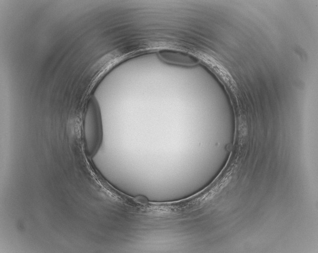 X0000116150993200912071300