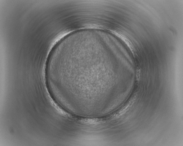 X0000116150995200912071300