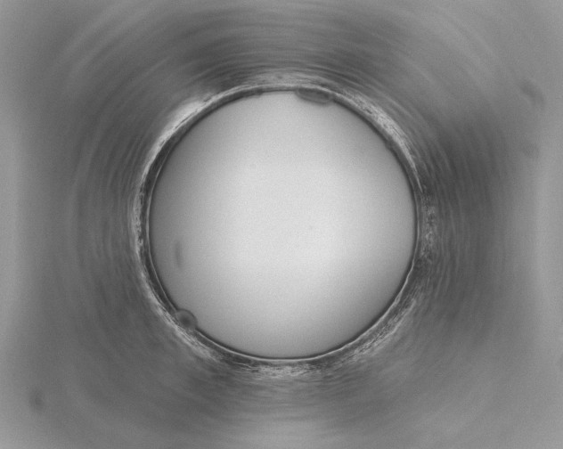 X0000116150997200912071300