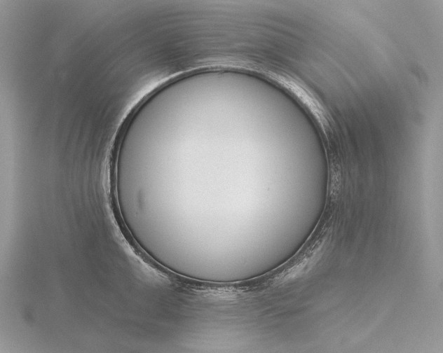 X0000116150999200912071300