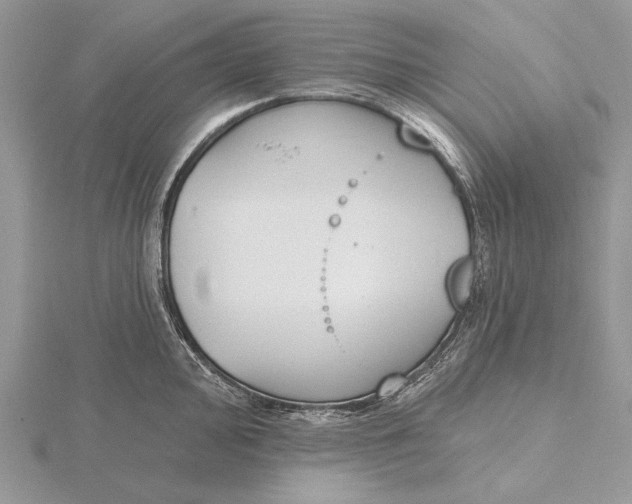 X0000116151000200912071300