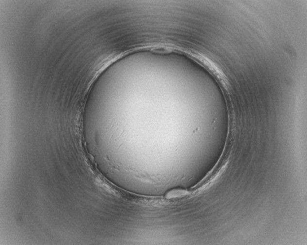 X0000116151001200912071300