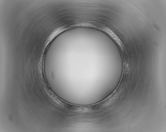 X0000116151002200912071300