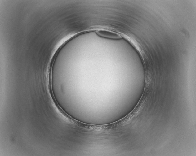 X0000116151003200912071300