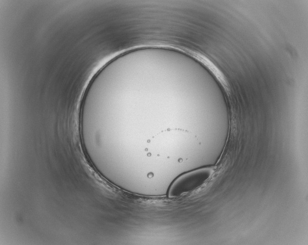 X0000116151004200912071300