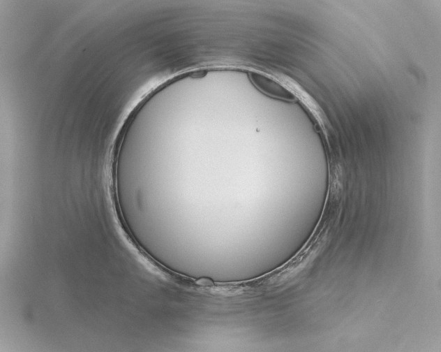 X0000116151005200912071300