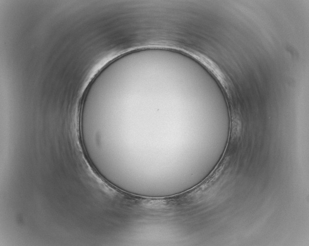 X0000116151006200912071300