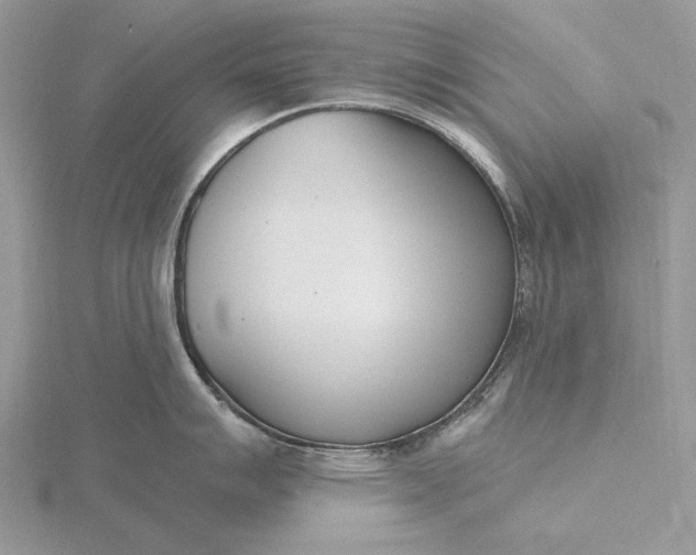 X0000116151007200912071300