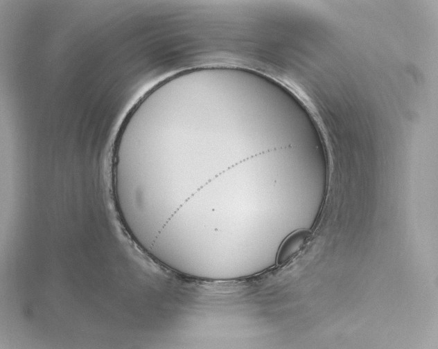 X0000116151008200912071259