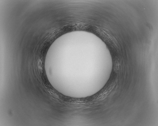 X0000116151010200912071259