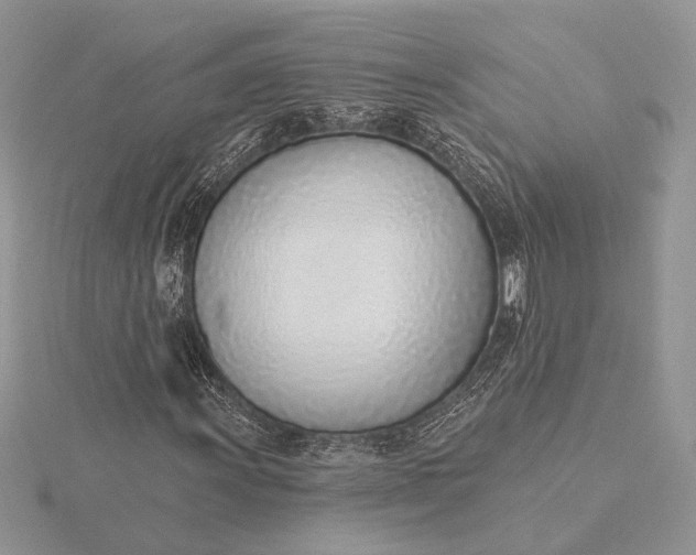 X0000116151011200912071259