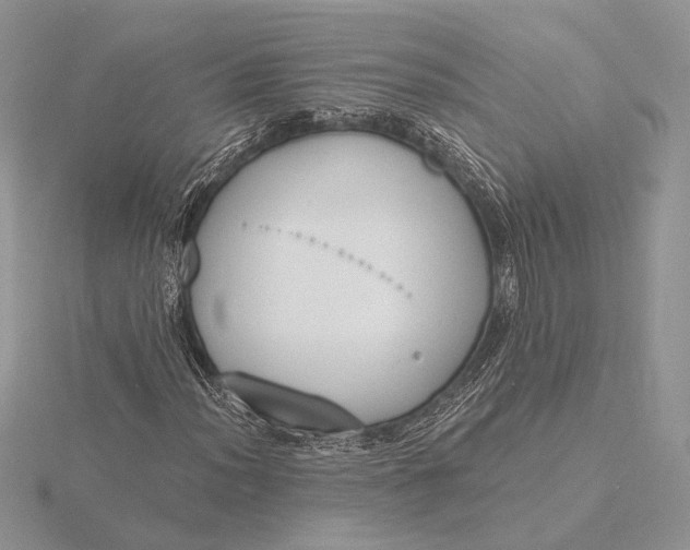 X0000116151012200912071259