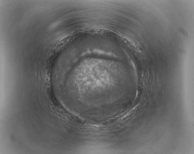 X0000116151013200912071259