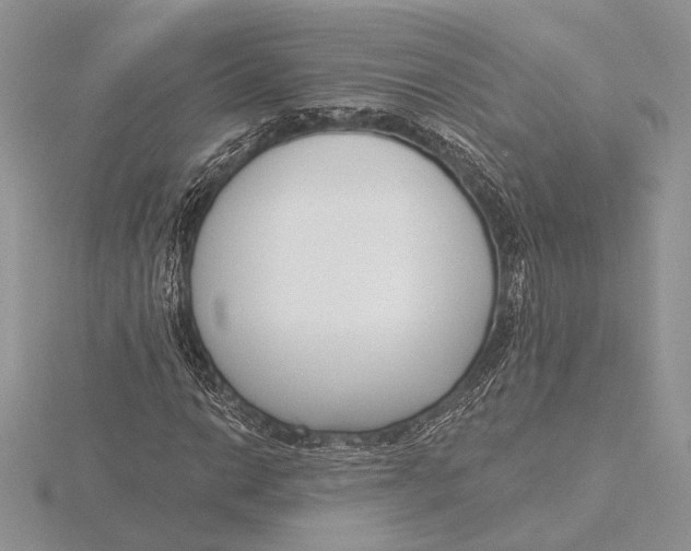 X0000116151014200912071259