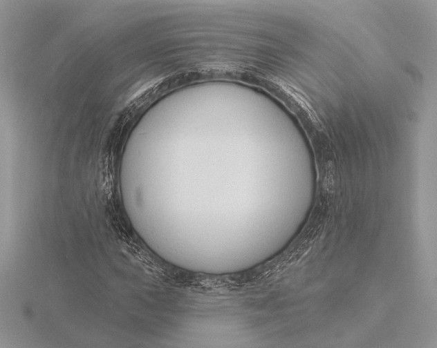 X0000116151015200912071259