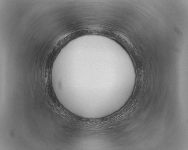 X0000116151016200912071259