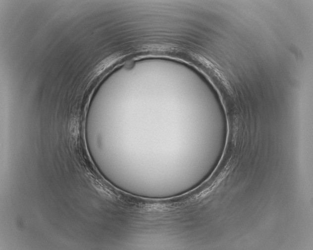 X0000116151017200912071259