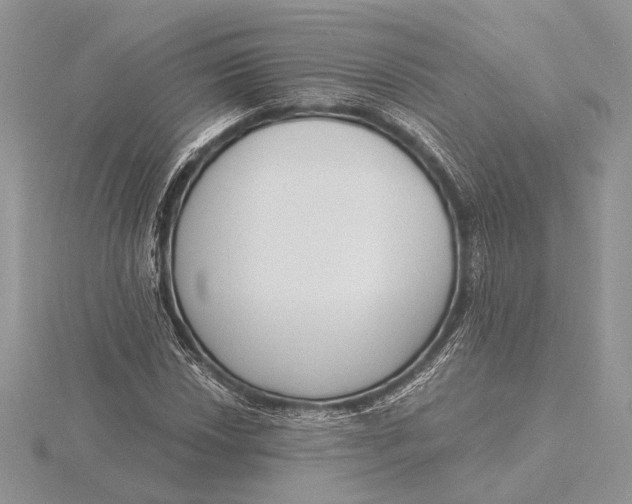 X0000116151018200912071259