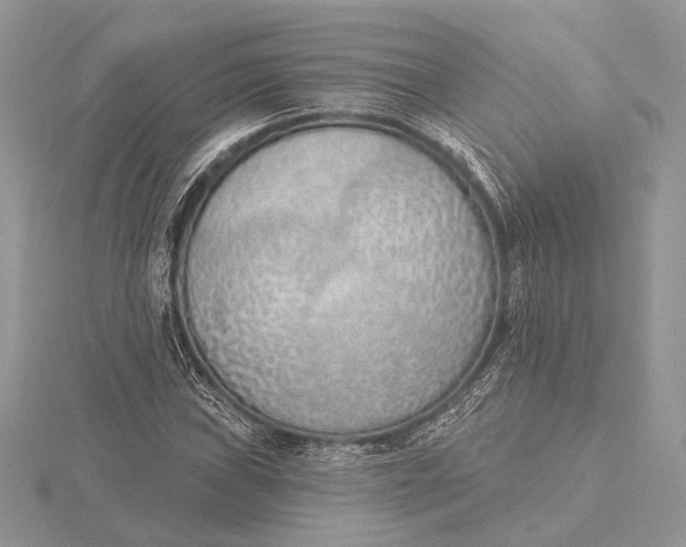 X0000116151019200912071259