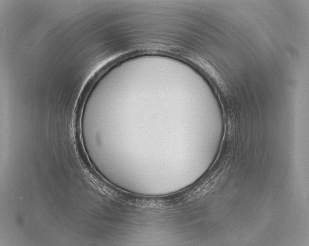 X0000116151020200912071259