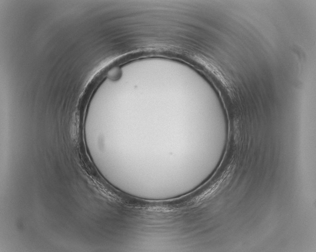 X0000116151021200912071259