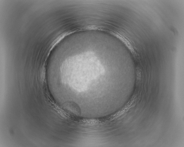 X0000116151023200912071259