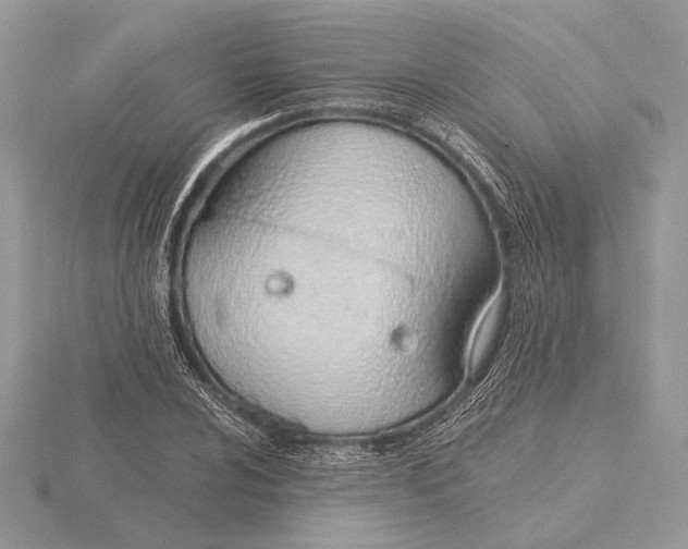 X0000116151024200912071259