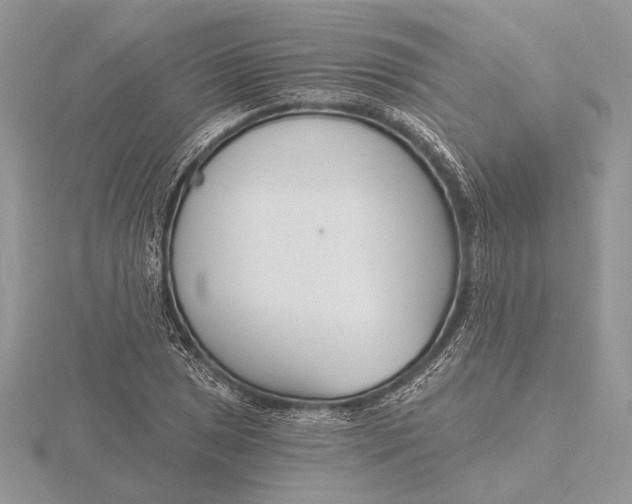 X0000116151025200912071259