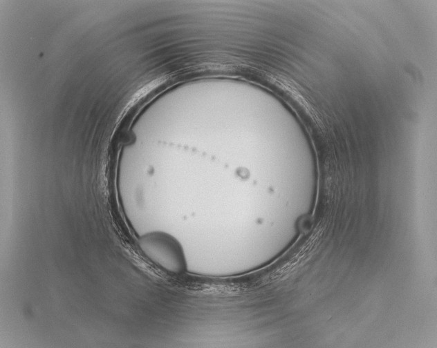 X0000116151026200912071259