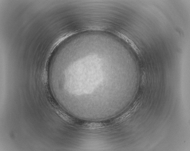 X0000116151027200912071259