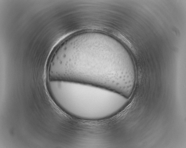 X0000116151028200912071259