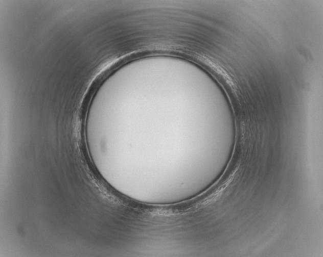 X0000116151029200912071259