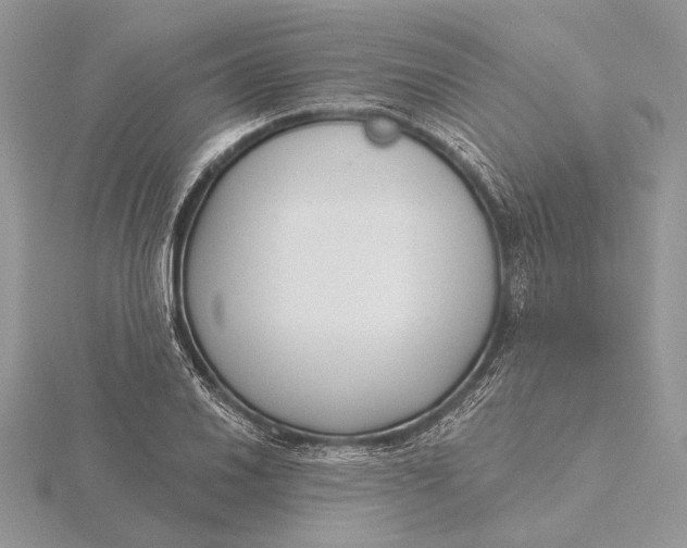 X0000116151030200912071259