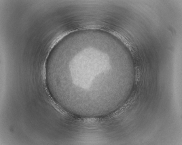 X0000116151031200912071259