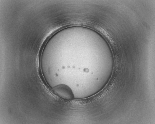 X0000116151032200912071259