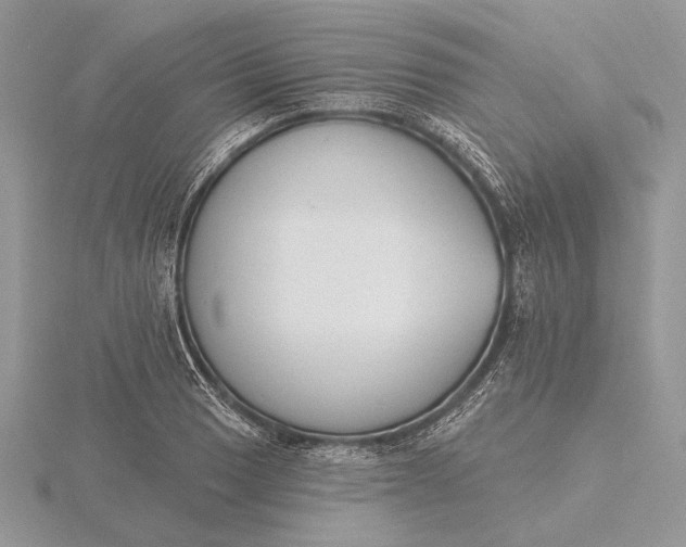 X0000116151033200912071259