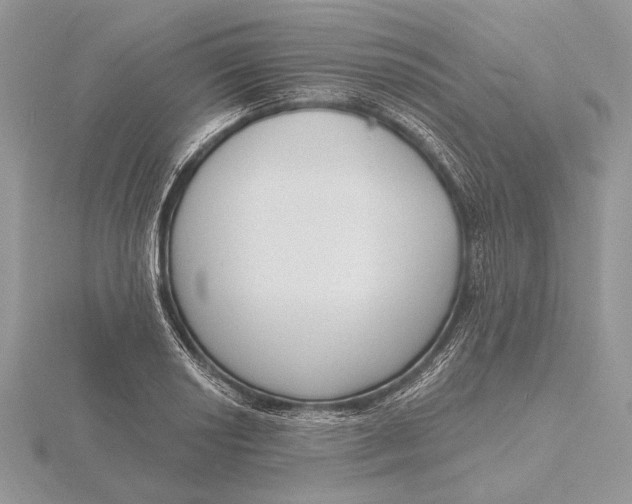 X0000116151034200912071259