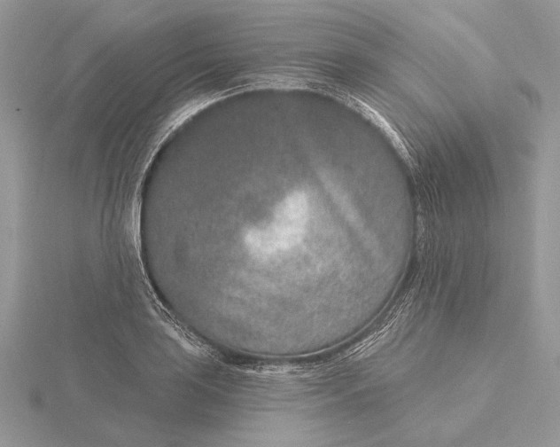 X0000116151035200912071259