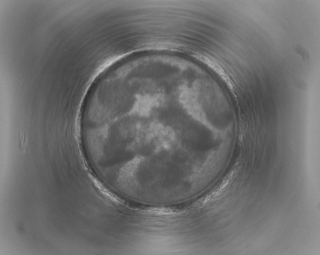 X0000116151037200912071259